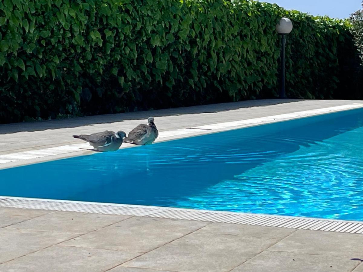 Pansion Margerita Bed & Breakfast Porec Bagian luar foto