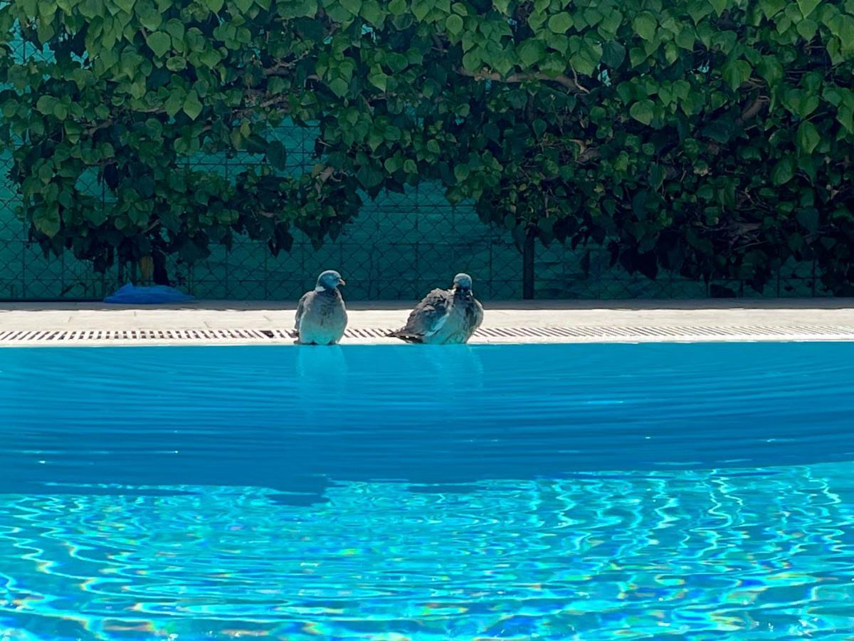 Pansion Margerita Bed & Breakfast Porec Bagian luar foto