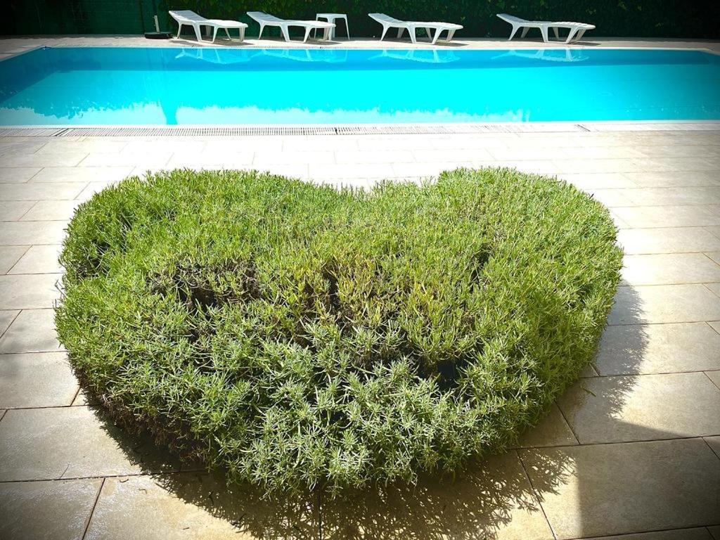 Pansion Margerita Bed & Breakfast Porec Bagian luar foto