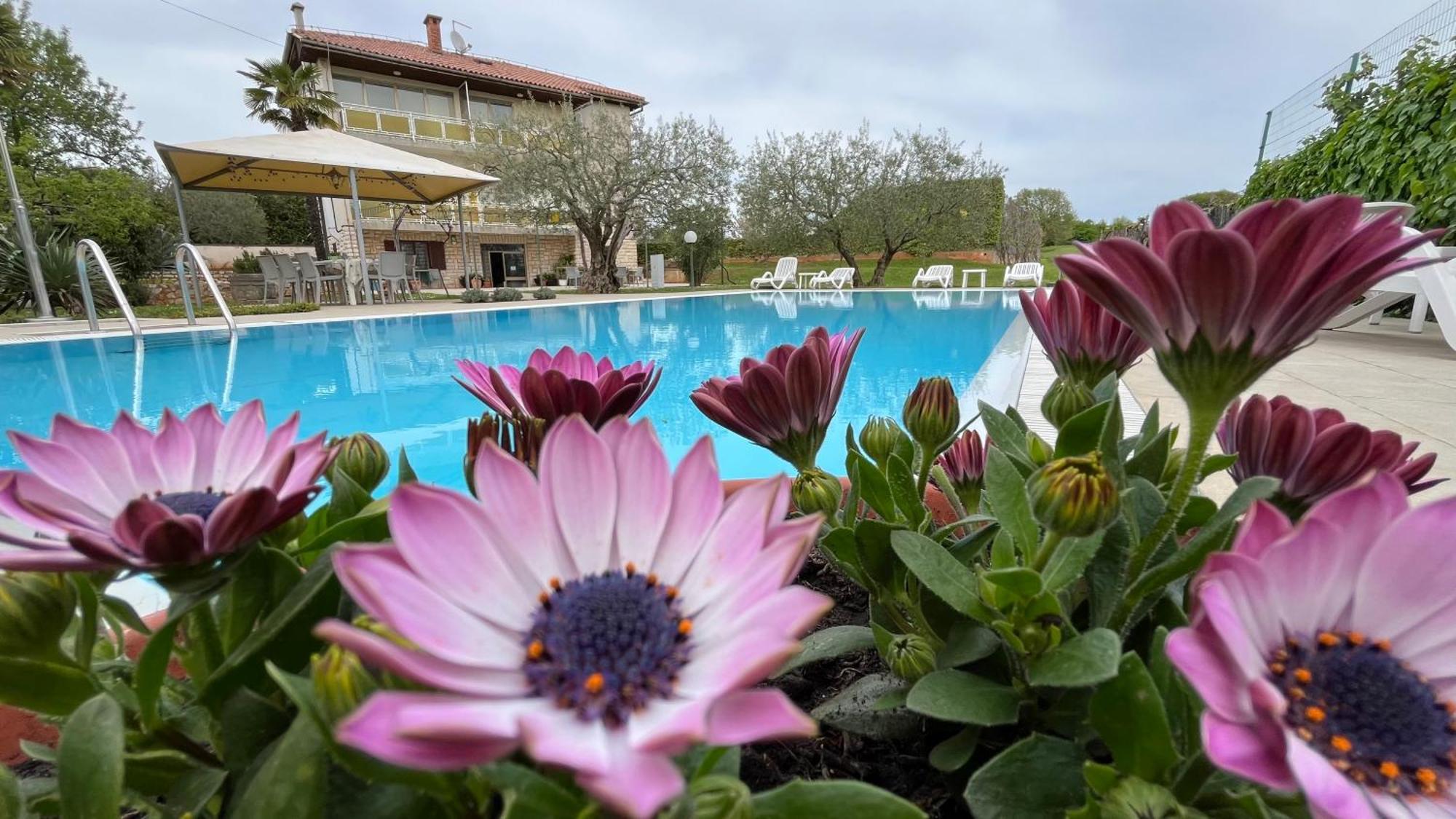 Pansion Margerita Bed & Breakfast Porec Bagian luar foto