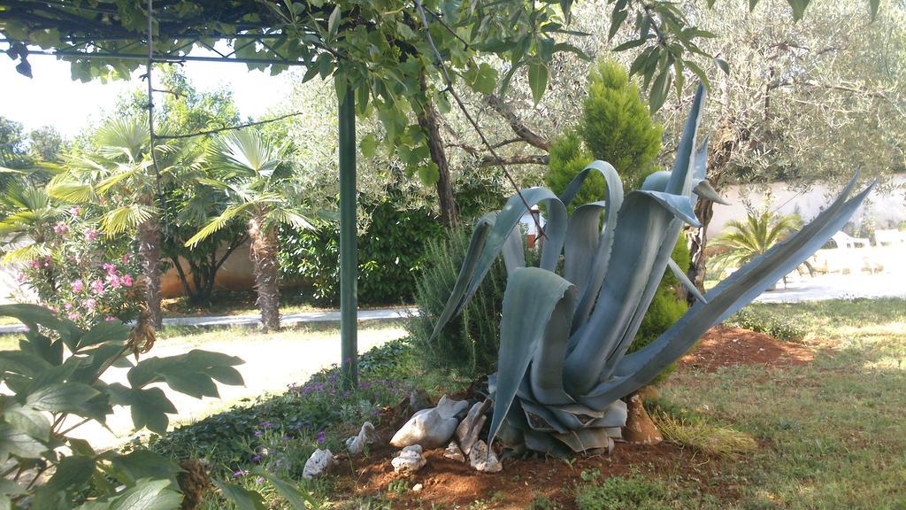 Pansion Margerita Bed & Breakfast Porec Bagian luar foto